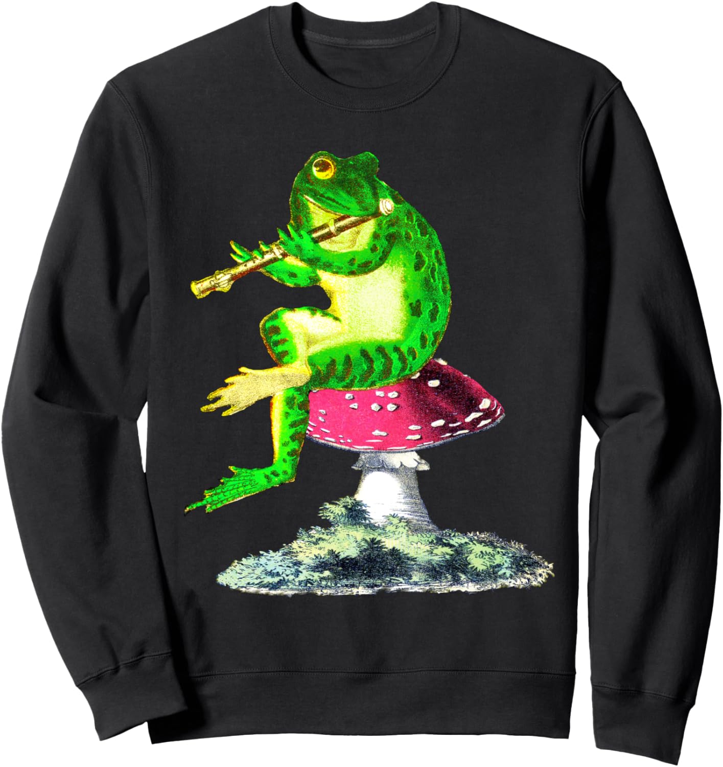 Винтажная толстовка Goblin Core с изображением лягушки, сидящей на грибе и играющей на флейте Cute Frog, черный
Винтажная толстовка Goblin Core с изображением лягушки, сидящей на грибе и играющей на флейте Cute Frog, черный