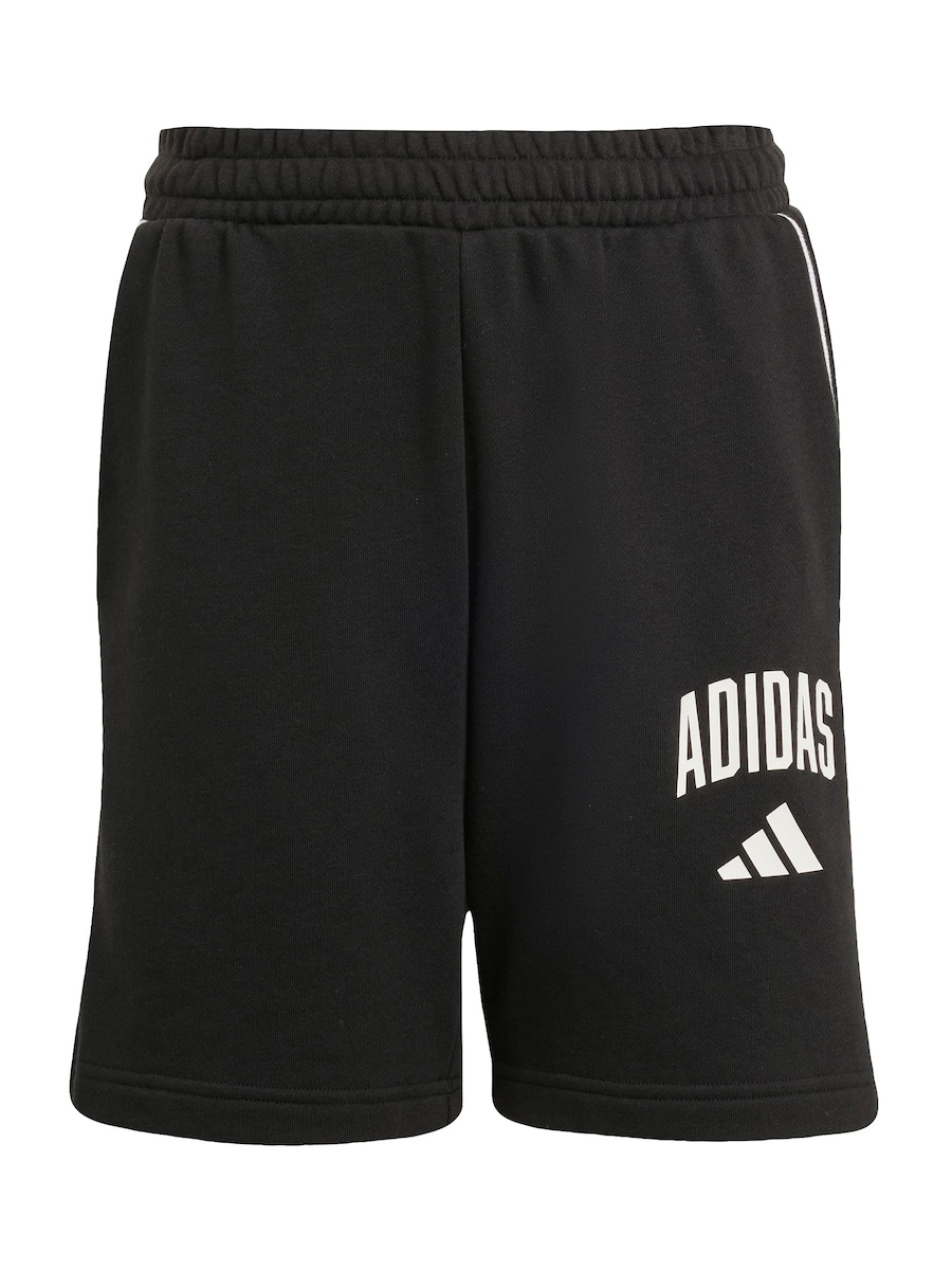 Обычные спортивные штаны ADIDAS SPORTSWEAR CLGT, черный
Обычные спортивные штаны ADIDAS SPORTSWEAR CLGT, черный