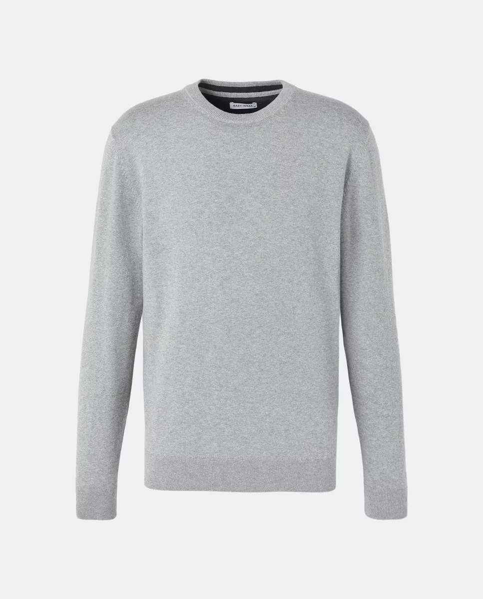 Однотонный джемпер для мужчин Easy Wear, цвет Gris perla
Однотонный джемпер для мужчин Easy Wear, цвет Gris perla