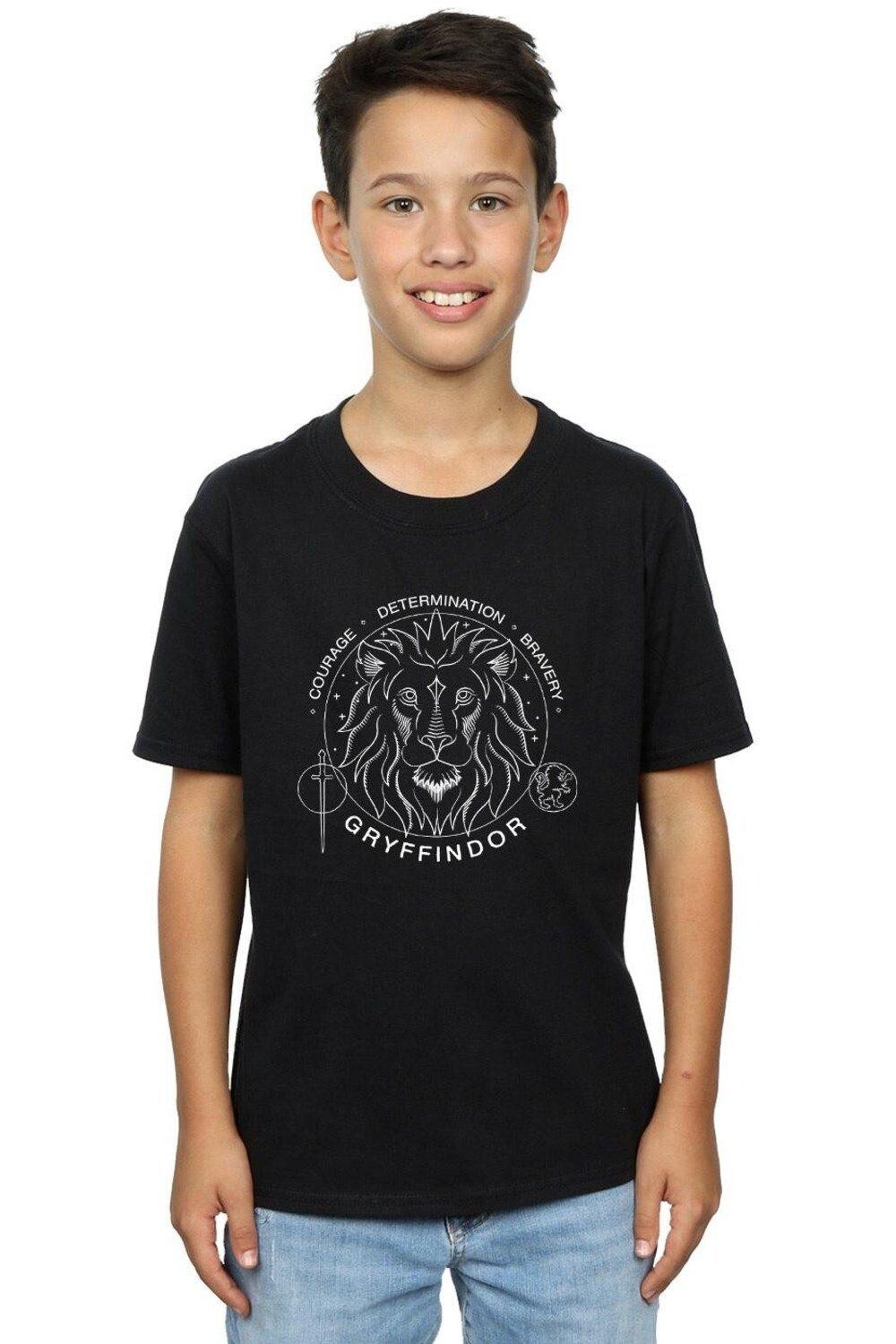 Футболка с печатью Гриффиндора Harry Potter, черный
Футболка с печатью Гриффиндора Harry Potter, черный