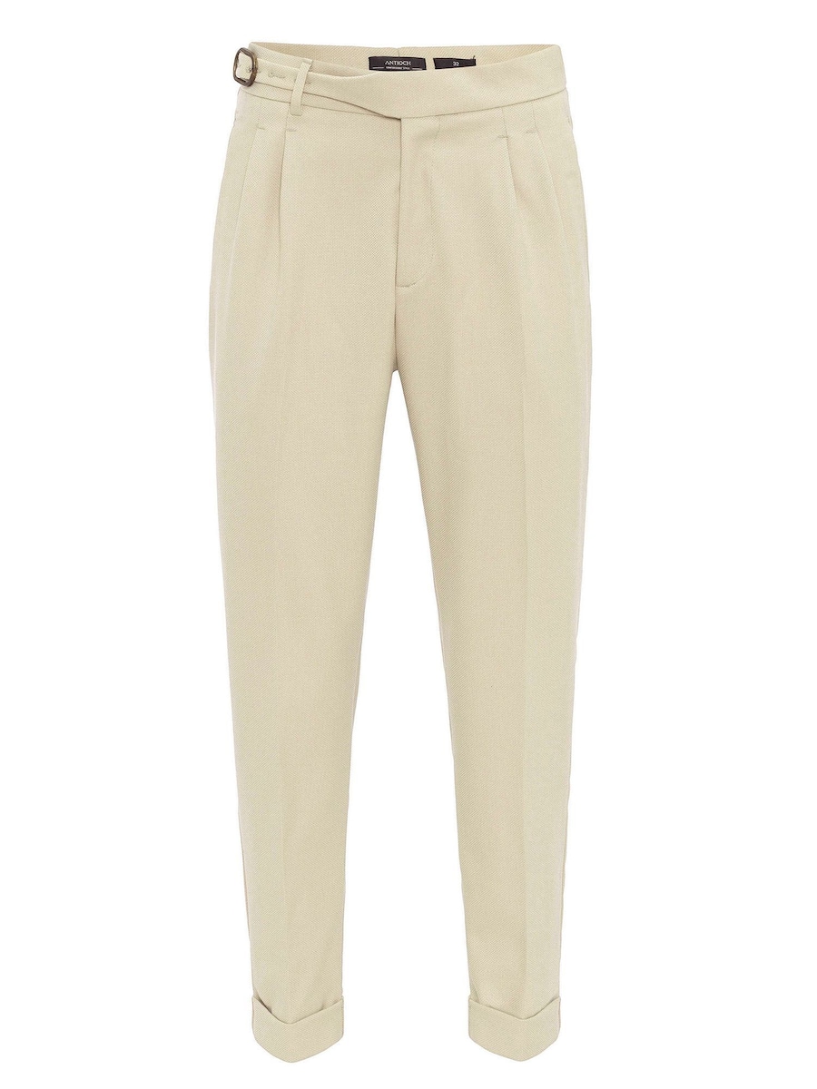 Обычные плиссированные брюки Antioch, бежевый
Обычные плиссированные брюки Antioch, бежевый