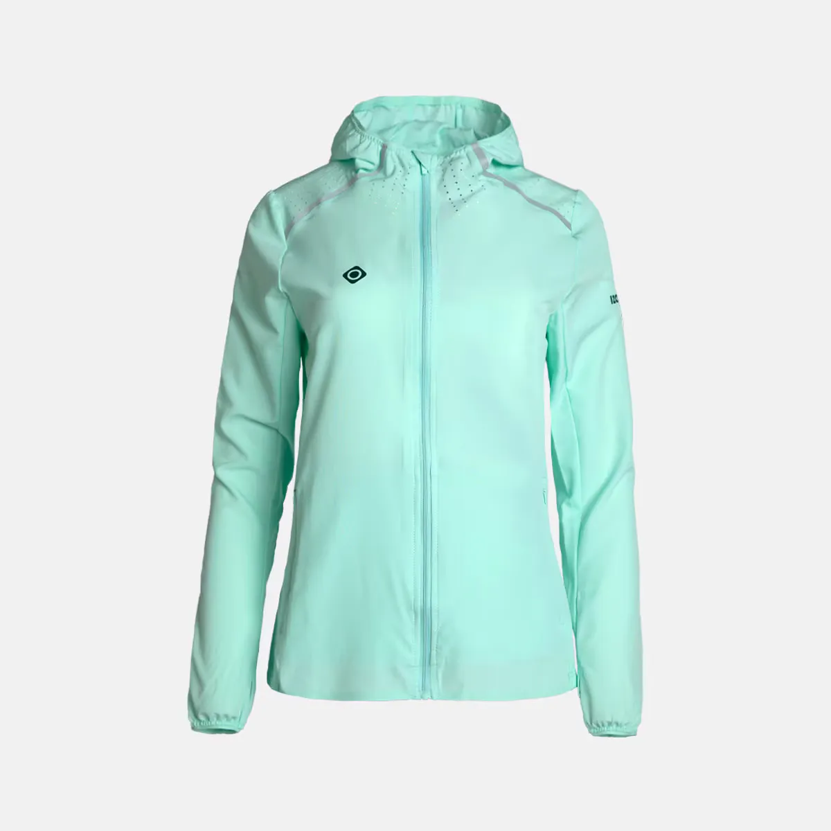 Женская беговая и треккинговая куртка Arasal Izas, бирюзовый
Женская беговая и треккинговая куртка Arasal Izas, бирюзовый