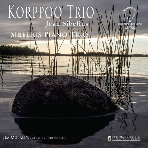 Виниловая пластинка Sibelius Piano Trio: Korppoo Trio (Jean Sibelius)
Виниловая пластинка Sibelius Piano Trio: Korppoo Trio (Jean Sibelius)