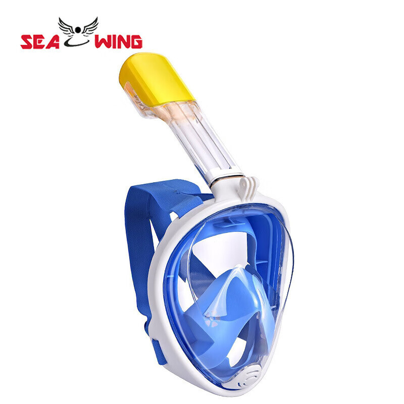 QINGHONG силиконовая маска для подводного плавания для взрослых, полностью сухая маска для подводного плавания, очки для дайвинга SQ1900, синие классические S-XL
QINGHONG силиконовая маска для подводного плавания для взрослых, полностью сухая маска для подводного плавания, очки для дайвинга SQ1900, синие классические S-XL