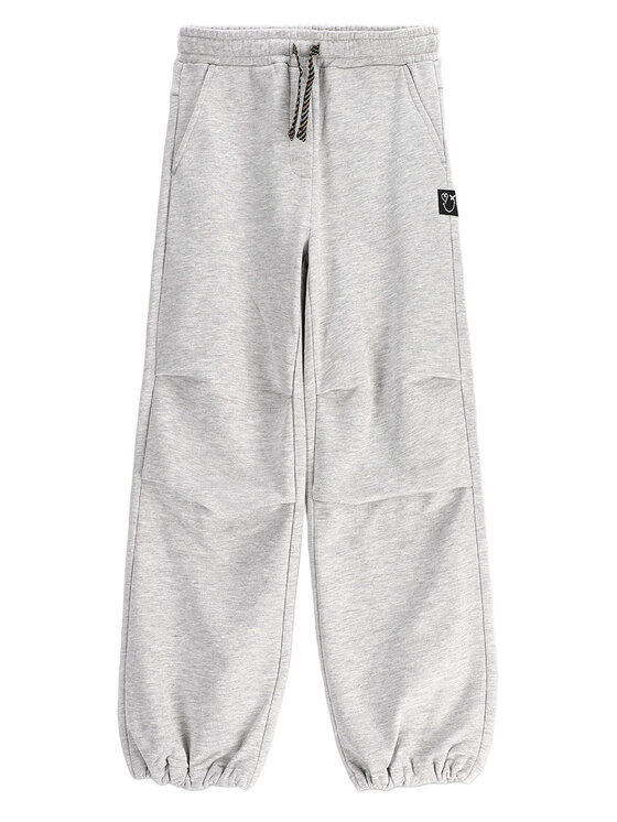 Спортивные брюки обычного кроя WC5120101RGJ Coccodrillo, серый
Спортивные брюки обычного кроя WC5120101RGJ Coccodrillo, серый