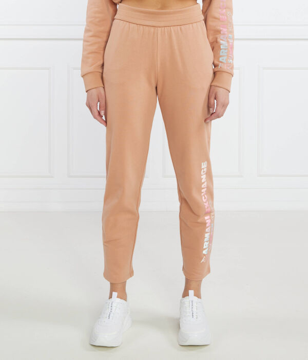 Брюки спортивные женские Armani Exchange с принтом, коричневый
Брюки спортивные женские Armani Exchange с принтом, коричневый
