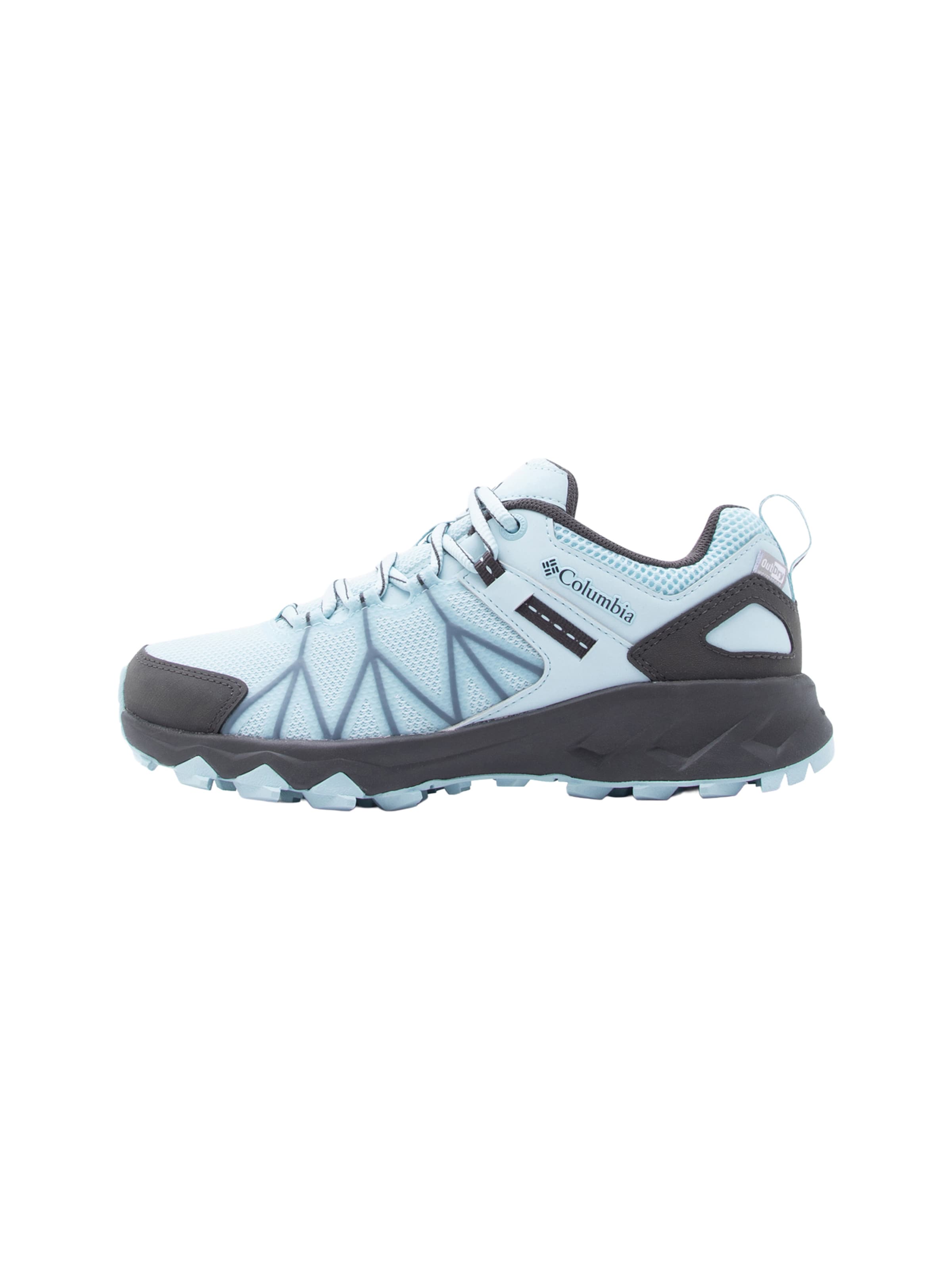 COLUMBIA Flats 'PEAKFREAK II' в цвете Navy, Pastel Blue
COLUMBIA Flats 'PEAKFREAK II' в цвете Navy, Pastel Blue