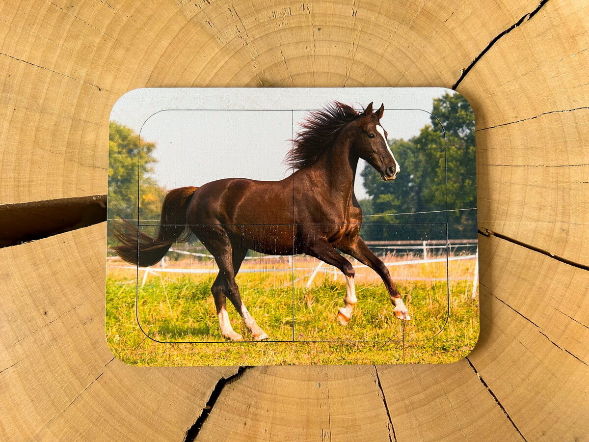 Лошадь, деревянный пазл с четырьмя элементами, основа с подписью, первый пазл Inna marka
Лошадь, деревянный пазл с четырьмя элементами, основа с подписью, первый пазл Inna marka