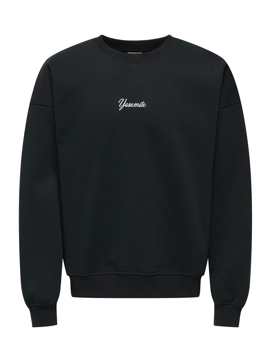 Толстовка Only & Sons ONSCERES SKI, черный
Толстовка Only & Sons ONSCERES SKI, черный