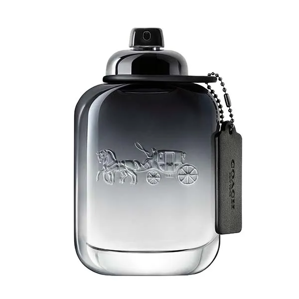 Туалетная вода для мужчин Coach For Man Coach, 100 ml
Туалетная вода для мужчин Coach For Man Coach, 100 ml