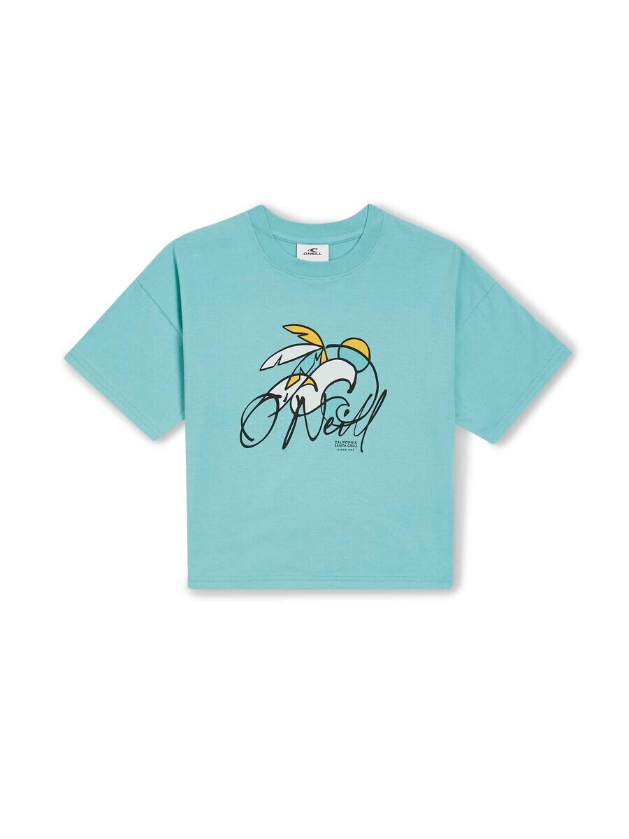 Футболка O'NEILL ONEILL SHIRT, зеленый
Футболка O'NEILL ONEILL SHIRT, зеленый