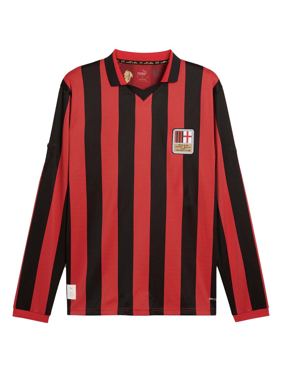 Футболка Performance PUMA Acm 125Th, красный
Футболка Performance PUMA Acm 125Th, красный