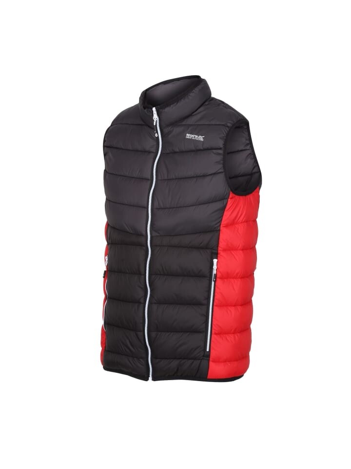 Функциональный жилет Regatta Weste Harrock II, черный
Функциональный жилет Regatta Weste Harrock II, черный