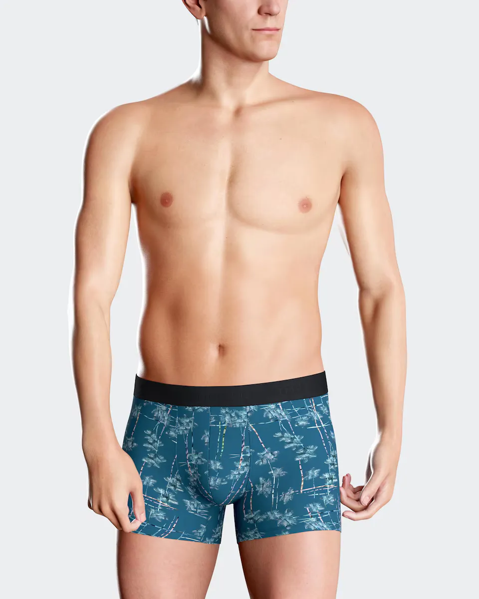 Мужские трикотажные шорты-боксеры с принтом лиоцелла Impetus, синий
Мужские трикотажные шорты-боксеры с принтом лиоцелла Impetus, синий