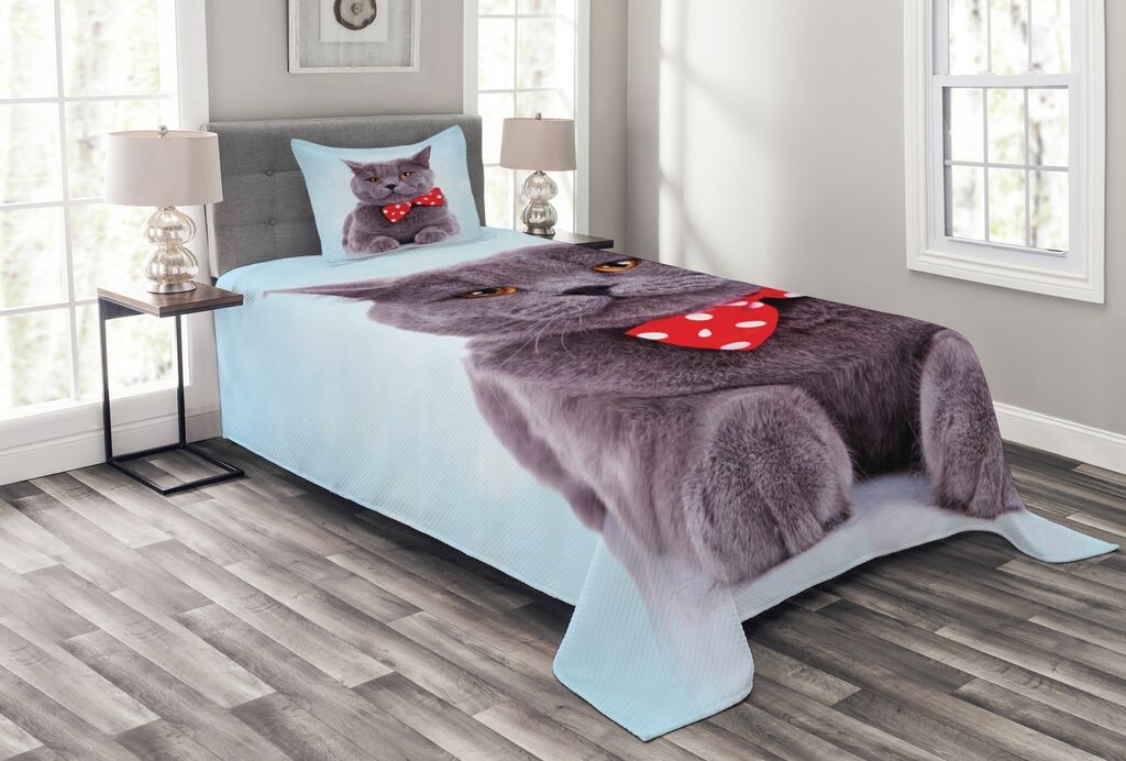 Комплект покрывала Cat ABAKUHAUS, серый в стиле шотландской вислоухой, комплект с моющимися наволочками, для односпальных кроватей 170 x 220 см, голубой, фиолетовый, синий
Комплект покрывала Cat ABAKUHAUS, серый в стиле шотландской вислоухой, комплект с моющимися наволочками, для односпальных кроватей 170 x 220 см, голубой, фиолетовый, синий