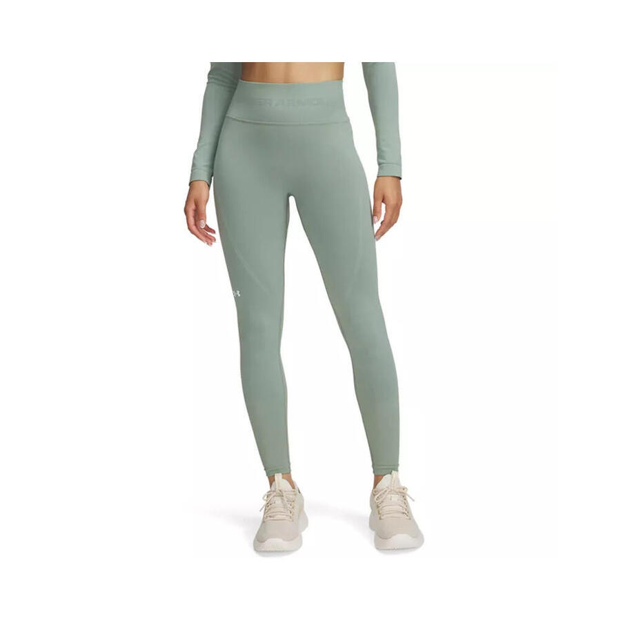 Женские облегающие бесшовные леггинсы Under Armour Tight Vanish 1381662
Женские облегающие бесшовные леггинсы Under Armour Tight Vanish 1381662
