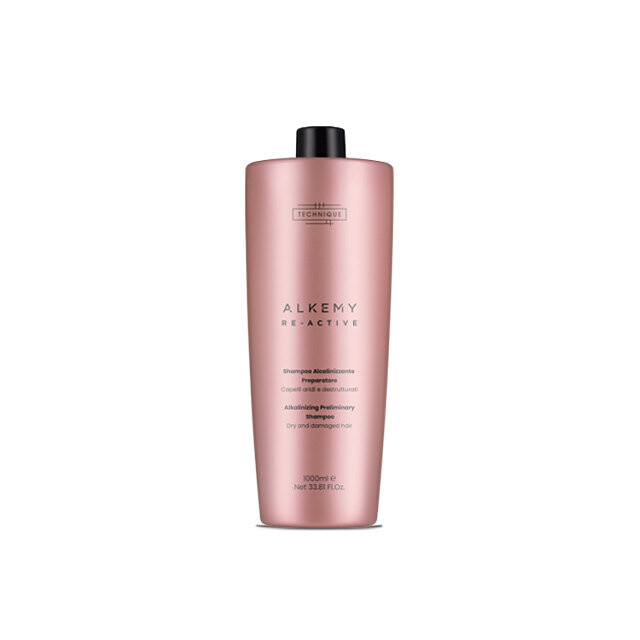 Technique Alkemy Alcalinizzante — Шампунь 1000 мл
Technique Alkemy Alcalinizzante — Шампунь 1000 мл