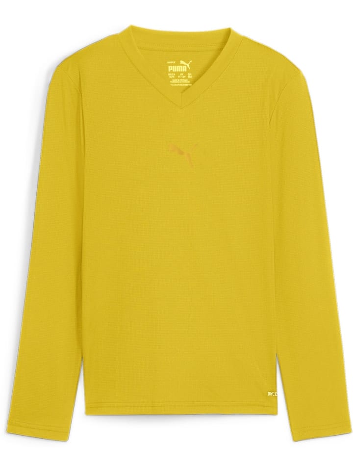 Футболка TeamGoal Baselayer Tee Longsleeve Jr. желтого цвета Puma
Футболка TeamGoal Baselayer Tee Longsleeve Jr. желтого цвета Puma