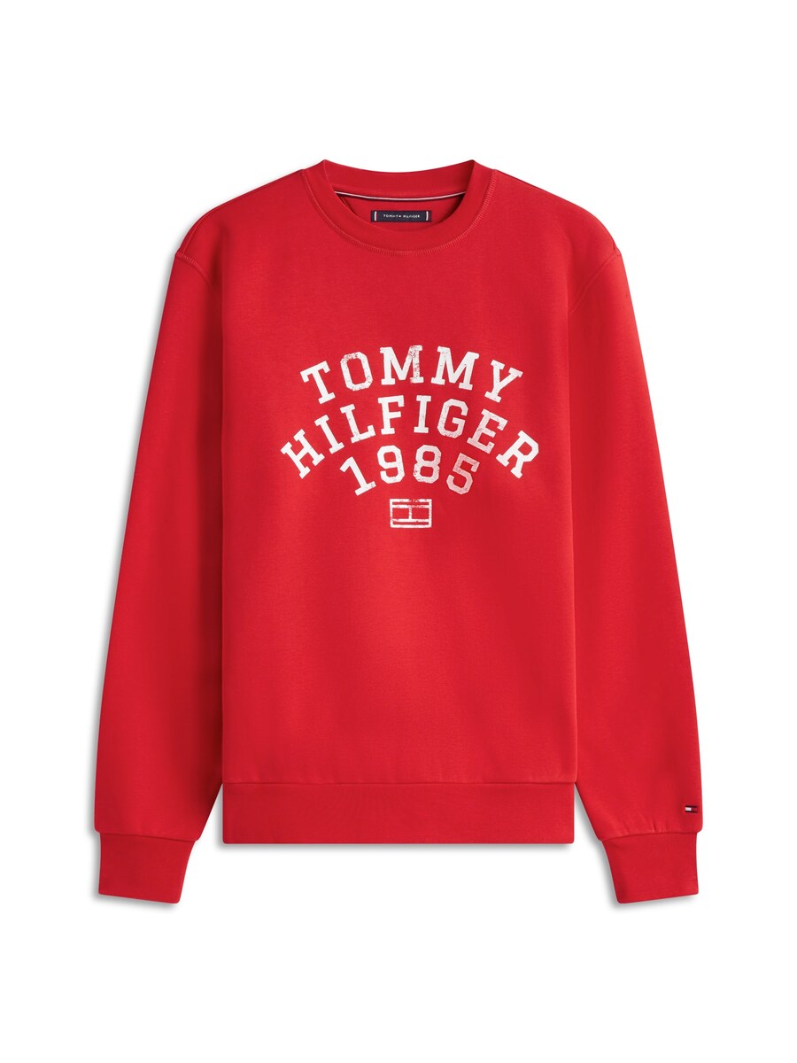 Толстовка TOMMY HILFIGER ARCH, красный
Толстовка TOMMY HILFIGER ARCH, красный
