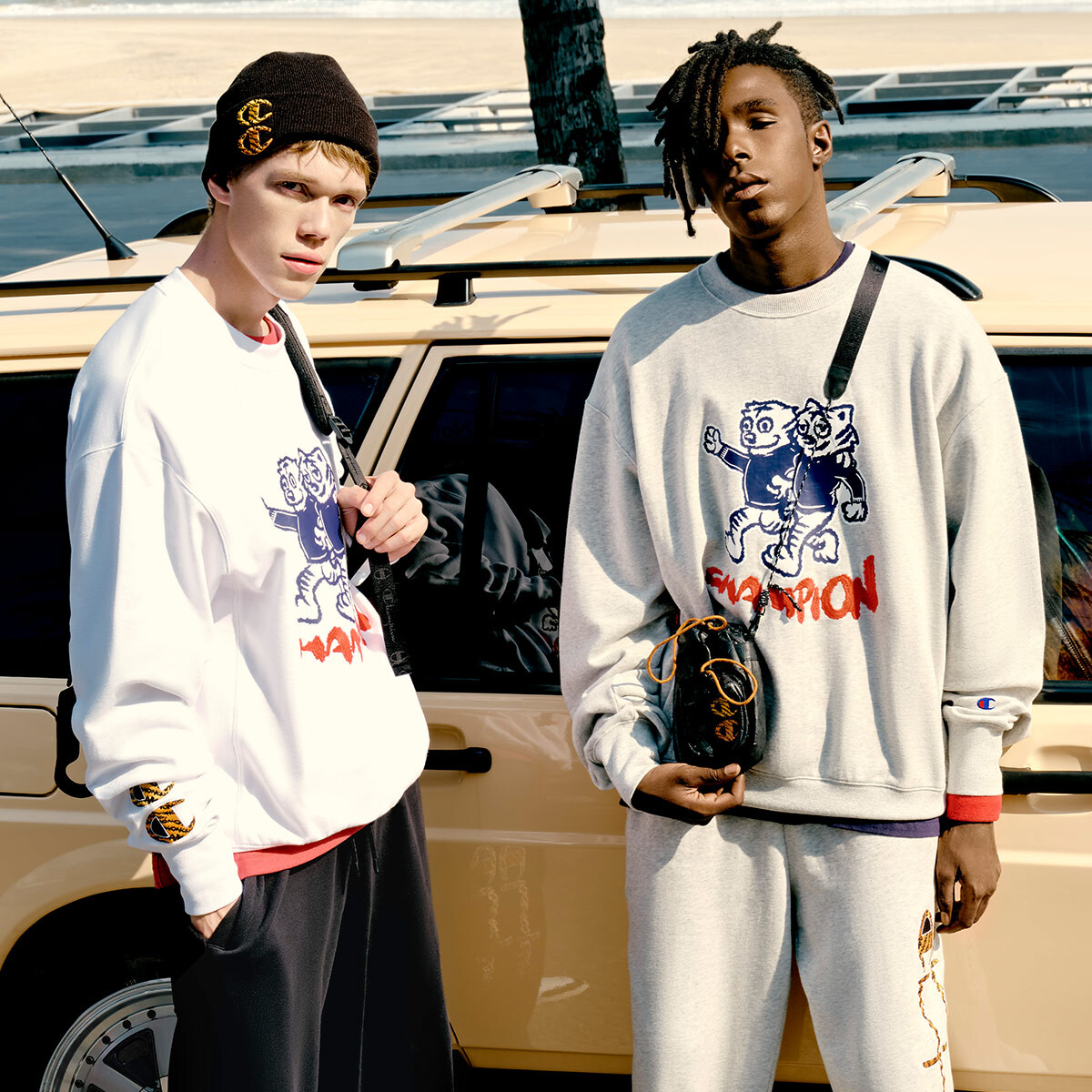 Толстовка унисекс Champion, белый
Толстовка унисекс Champion, белый