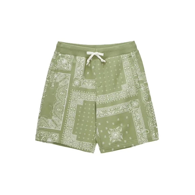 Повседневные шорты мужские зеленые The North Face, зеленый
Повседневные шорты мужские зеленые The North Face, зеленый