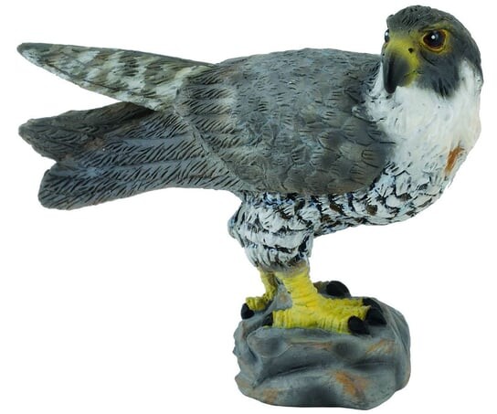 Collecta, Коллекционная фигурка, Сокол
Collecta, Коллекционная фигурка, Сокол