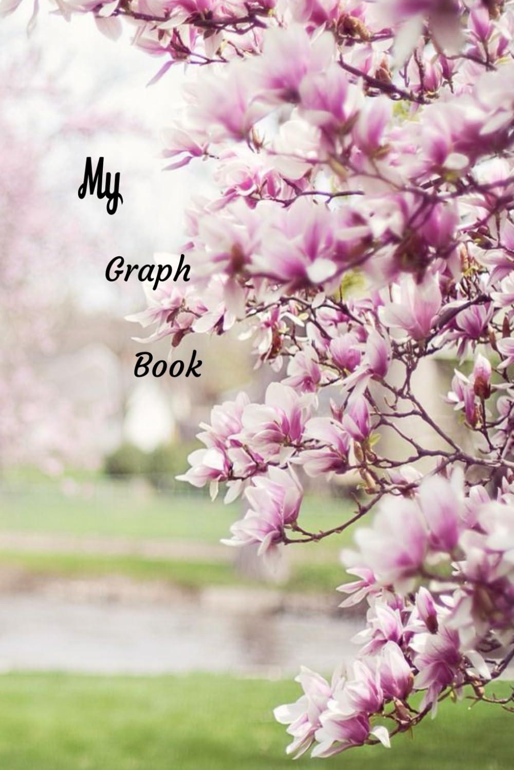 Children Graph notebook (Independently published)
Children Graph notebook (Independently published)