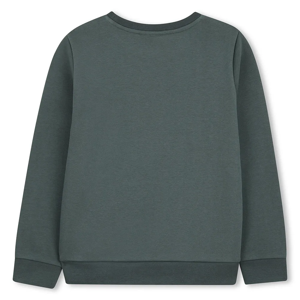 Толстовка BOSS J52966, зеленый
Толстовка BOSS J52966, зеленый