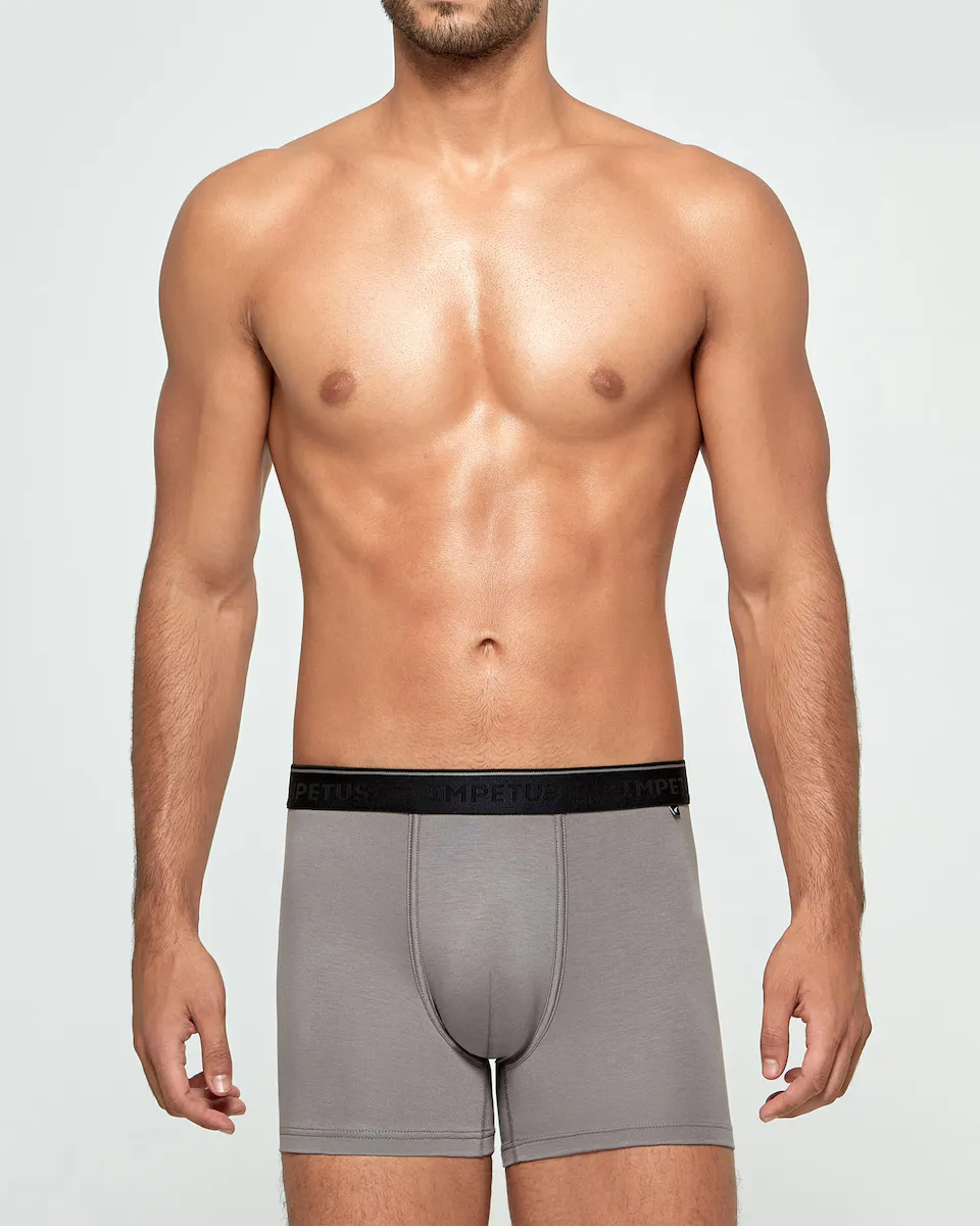Мужские трикотажные боксерские шорты из лиоцелла Impetus, серый
Мужские трикотажные боксерские шорты из лиоцелла Impetus, серый