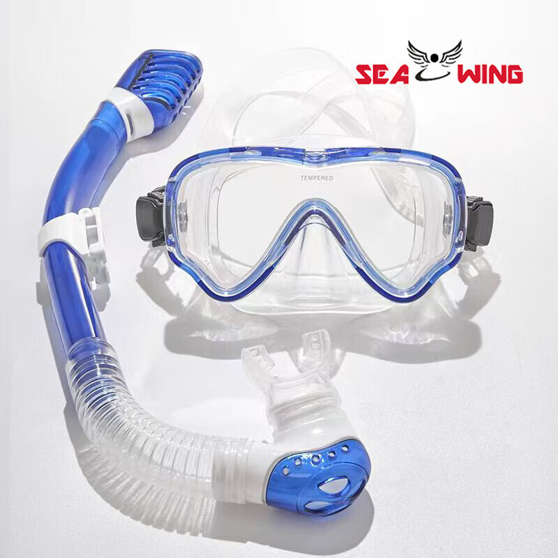 QINGHONG полностью сухие очки для дайвинга для мужчин, женщин и детей, набор для снорклинга, маска для подводного плавания ST3600-синий костюм, один размер
QINGHONG полностью сухие очки для дайвинга для мужчин, женщин и детей, набор для снорклинга, маска для подводного плавания ST3600-синий костюм, один размер