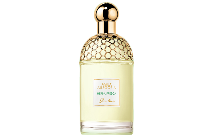 Духи Aqua Allegoria для женщин GUERLAIN
Духи Aqua Allegoria для женщин GUERLAIN