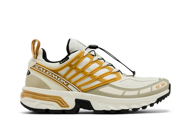 Кроссовки ACS Pro GORE-TEX 'Icicle Antelope', желто-коричневый
Кроссовки ACS Pro GORE-TEX 'Icicle Antelope', желто-коричневый