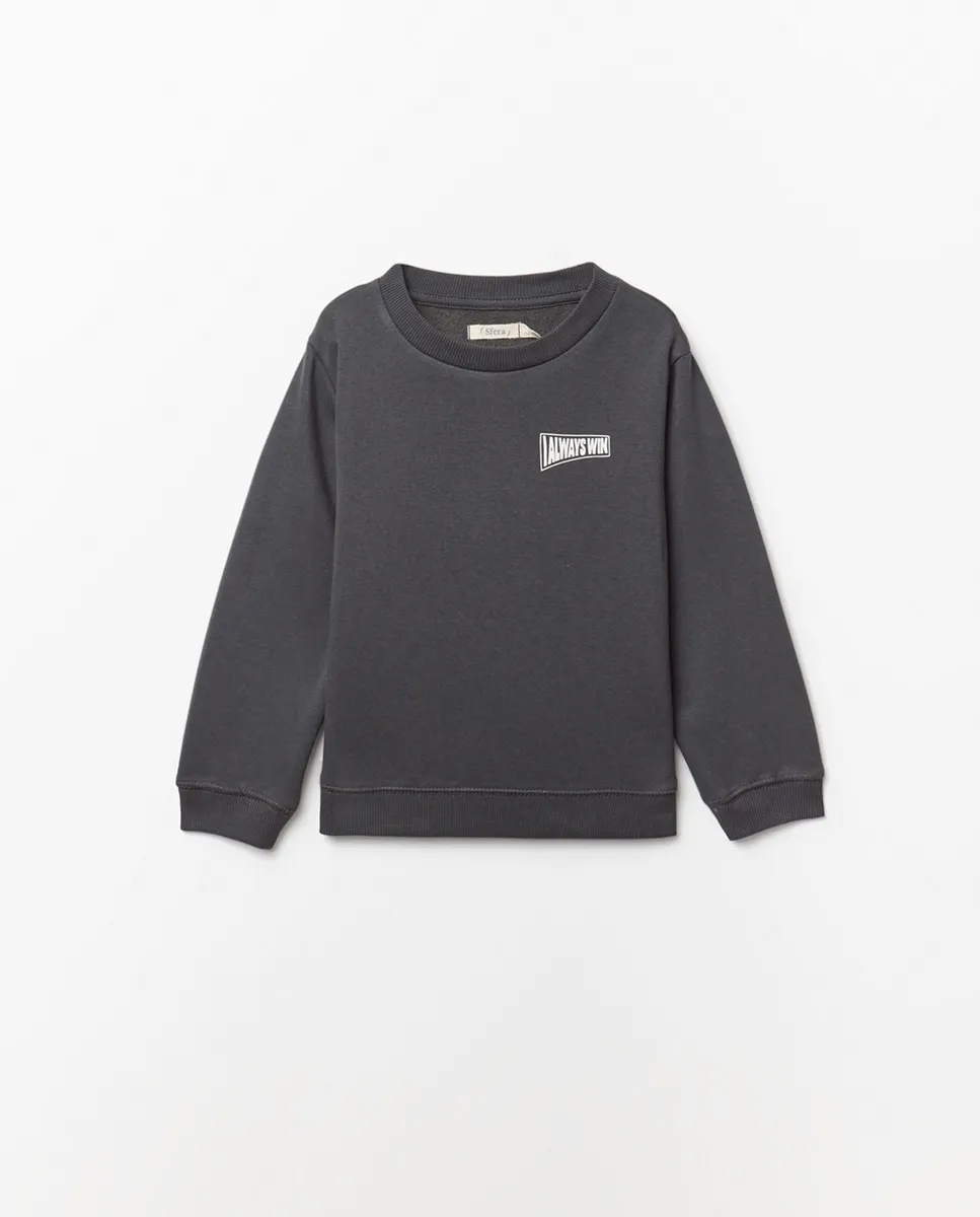 Базовая толстовка Sfera, темно-серый
Базовая толстовка Sfera, темно-серый