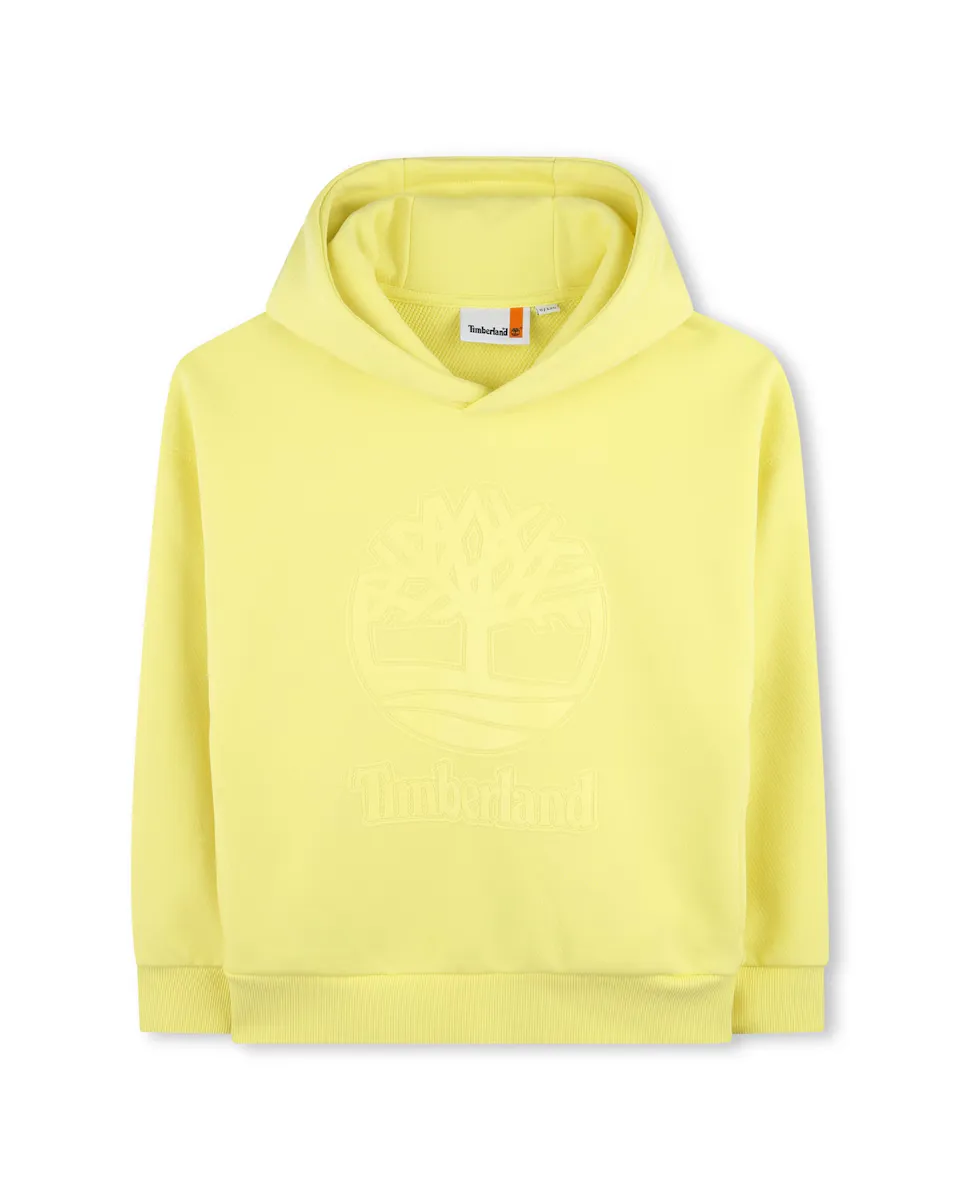 Флисовая толстовка для мальчиков с логотипом Timberland, желтый
Флисовая толстовка для мальчиков с логотипом Timberland, желтый