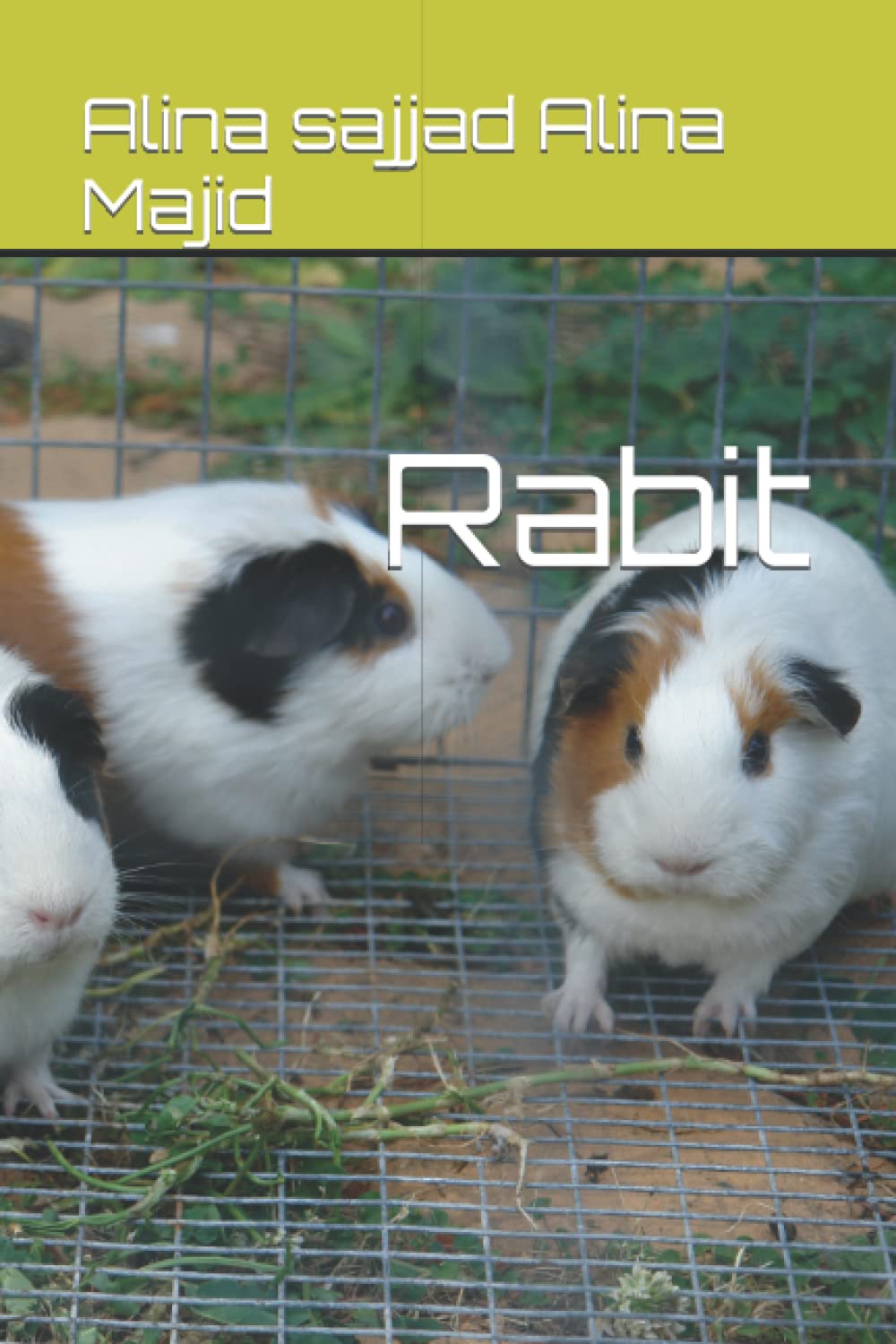 Rabit (Independently published)
Rabit (Independently published)