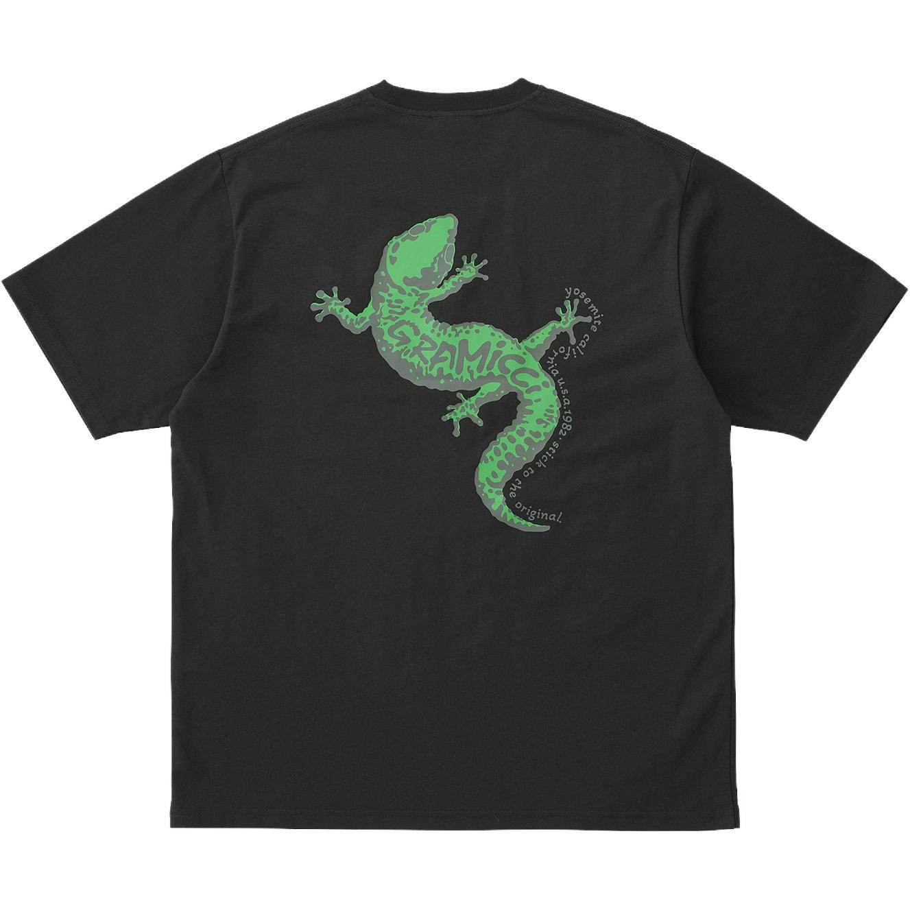 Футболка Gecko Cotton Gramicci, черный
Футболка Gecko Cotton Gramicci, черный