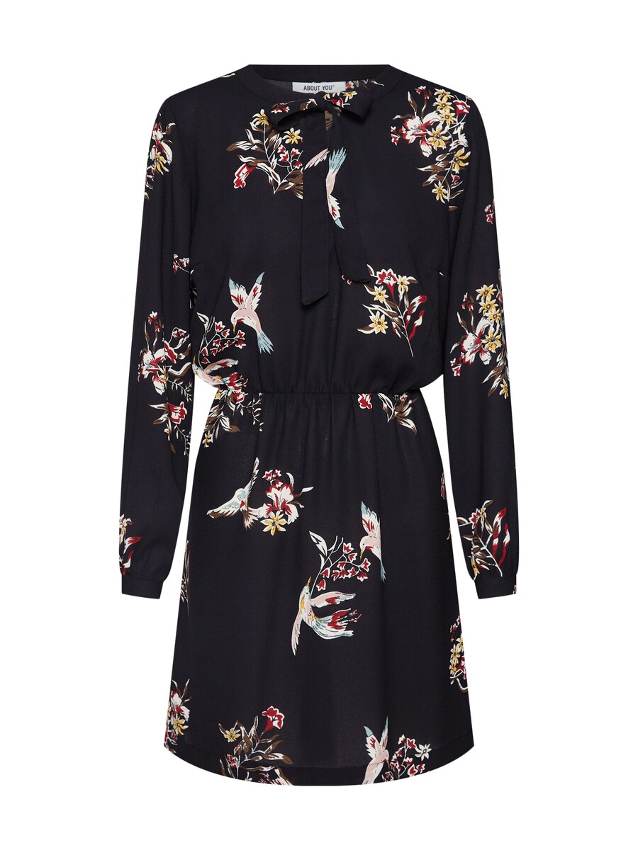 Платье-рубашка ABOUT YOU Carolina, черный
Платье-рубашка ABOUT YOU Carolina, черный