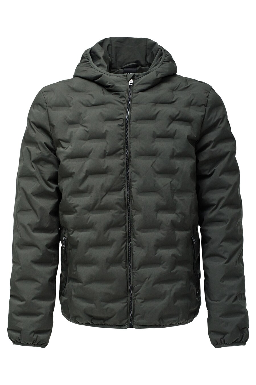 Зимняя куртка Salsa Jeans Winter Jacket, зеленый
Зимняя куртка Salsa Jeans Winter Jacket, зеленый