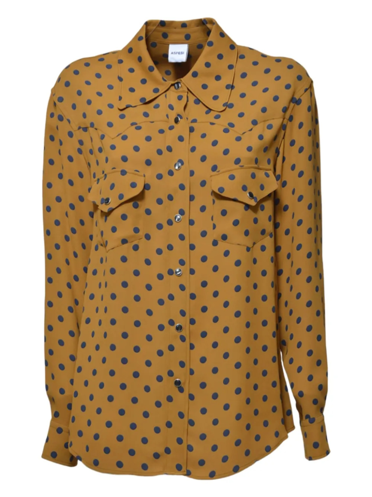 Рубашка ASPESI с принтом в горошек, коричневый
Рубашка ASPESI с принтом в горошек, коричневый