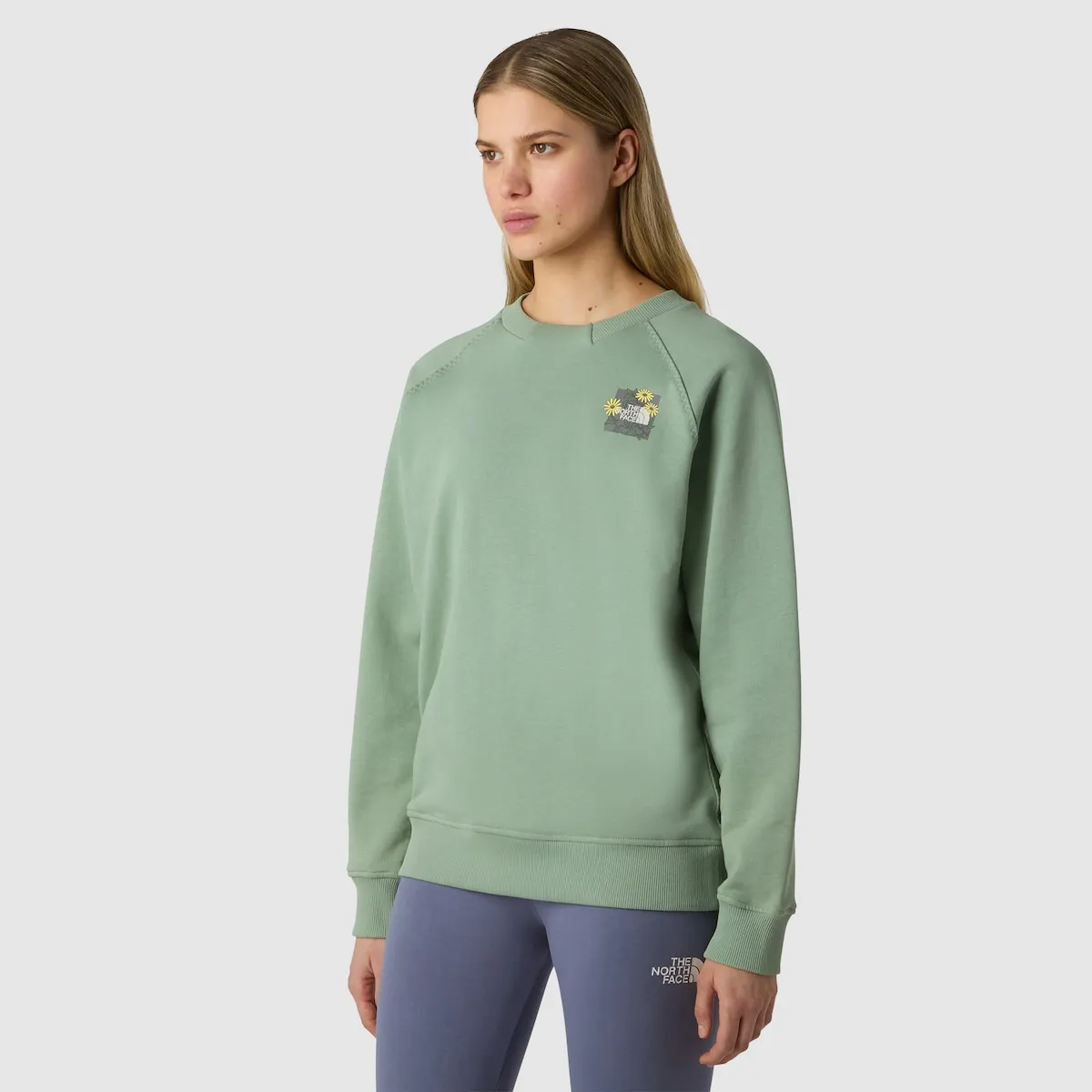 Женская свободная толстовка с графическим принтом Connect The North Face, зеленый
Женская свободная толстовка с графическим принтом Connect The North Face, зеленый