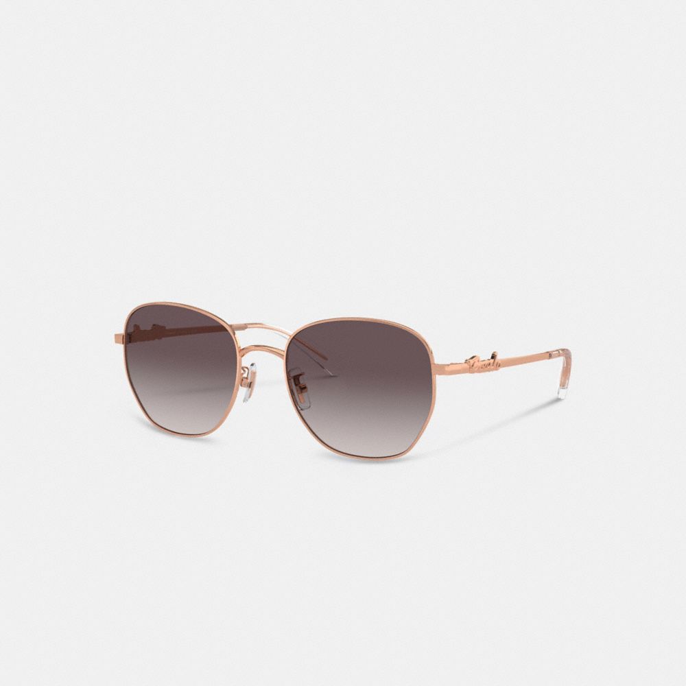 Солнцезащитные очки Coach Coach Script Round Sunglasses, цвет Rose Gold/Black
Солнцезащитные очки Coach Coach Script Round Sunglasses, цвет Rose Gold/Black