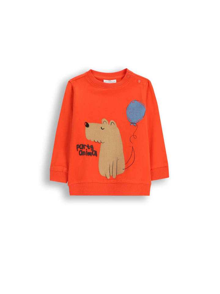 Рубашка с длинным рукавом Coccodrillo, красный
Рубашка с длинным рукавом Coccodrillo, красный