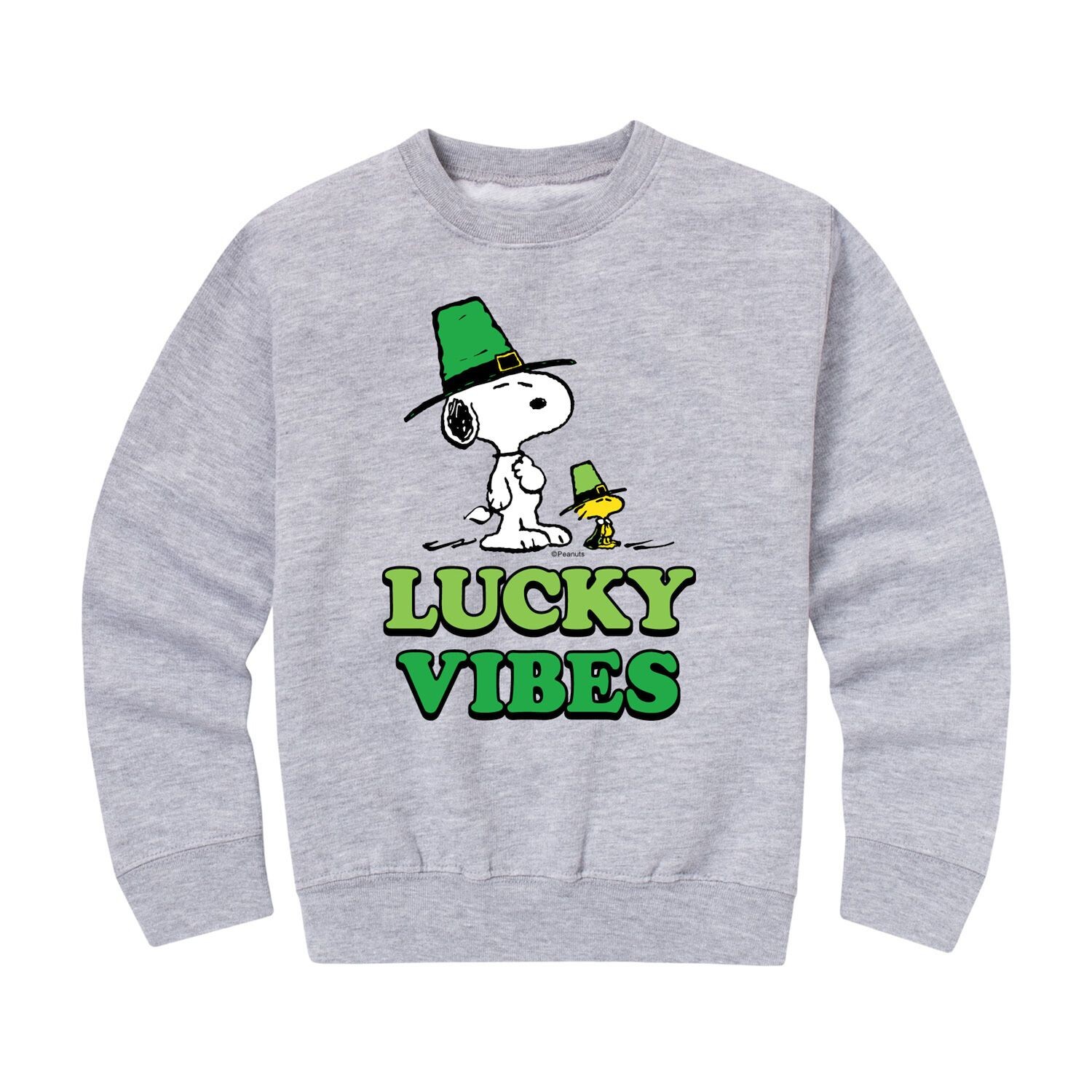 Флисовый свитшот Peanuts Lucky Vibes для мальчиков 8–20 лет Licensed Character
Флисовый свитшот Peanuts Lucky Vibes для мальчиков 8–20 лет Licensed Character