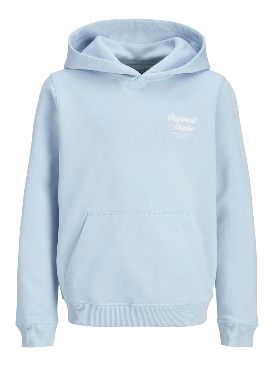 Толстовка Jack & Jones Junior, светло-голубой
Толстовка Jack & Jones Junior, светло-голубой
