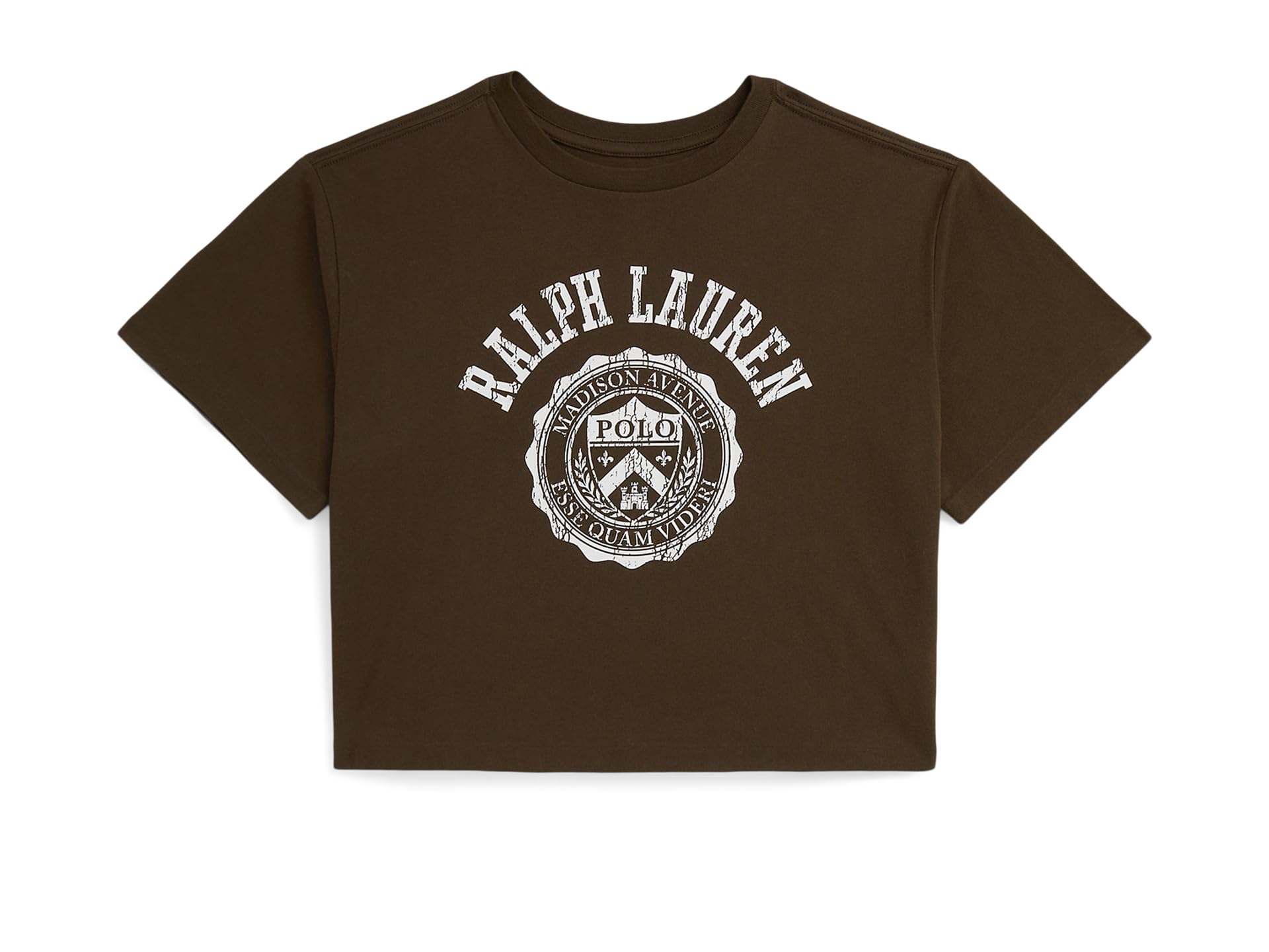 Футболка Polo Ralph Lauren Kids Logo Crest Cotton Jersey Boxy Tee, цвет Court Brown
Футболка Polo Ralph Lauren Kids Logo Crest Cotton Jersey Boxy Tee, цвет Court Brown