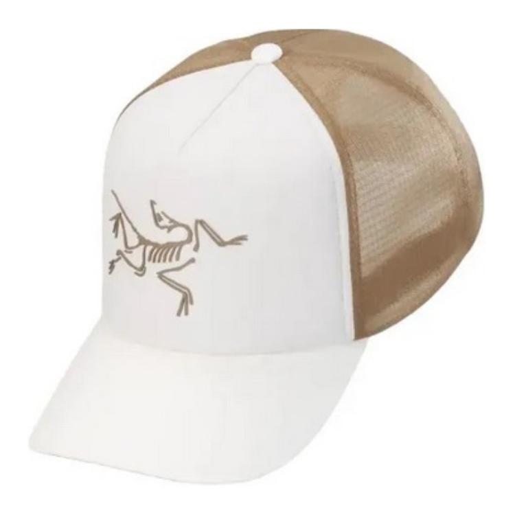 Унисекс бейсболка Arcteryx из полиэстера коричневого цвета
Унисекс бейсболка Arcteryx из полиэстера коричневого цвета