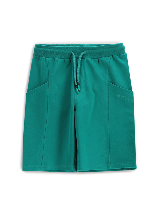 Спортивные шорты обычного кроя WC5120502TBJ Coccodrillo, зеленый
Спортивные шорты обычного кроя WC5120502TBJ Coccodrillo, зеленый