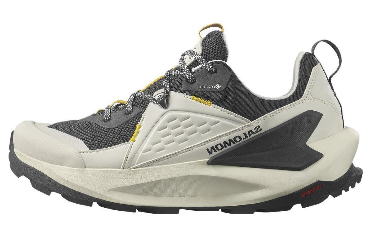 Саломон Эликсир GTX 'Ванилла Айс Фантом' L00, бежево-черный
Саломон Эликсир GTX 'Ванилла Айс Фантом' L00, бежево-черный