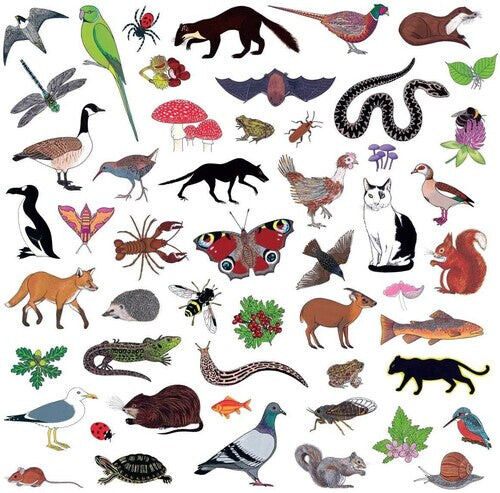 CD диск Modern Nature: Island of Noise
CD диск Modern Nature: Island of Noise