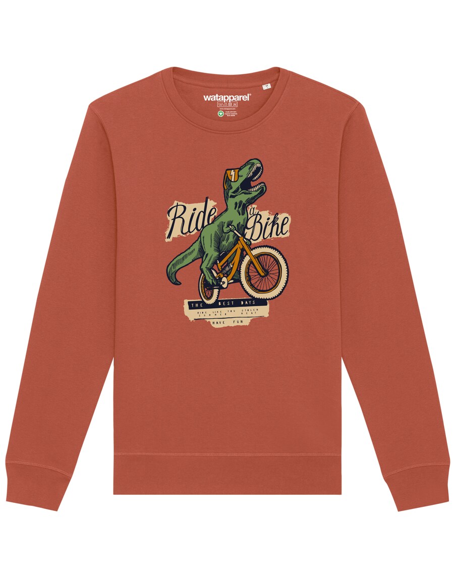 Свитер Watapparel Sweatshirt T-Rex Fahrrad, светло-коричневый
Свитер Watapparel Sweatshirt T-Rex Fahrrad, светло-коричневый